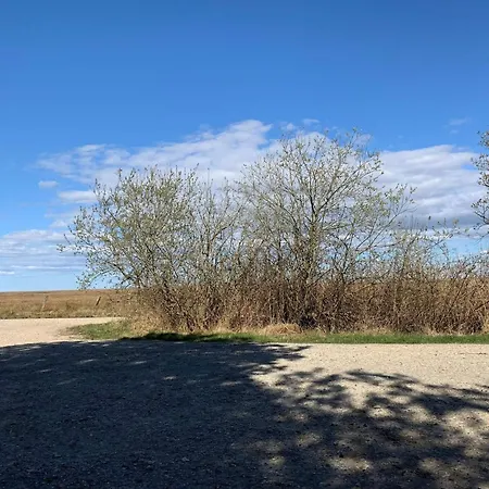 Luxury Retreat In Bork - By Traum Dom wakacyjny *